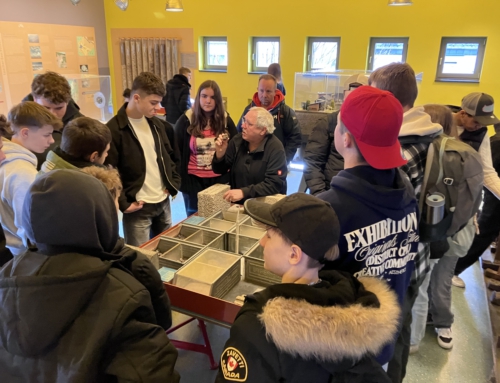 Vulkanismus erleben – Die achten Klassen besuchen den Lavadome und die Lavakeller von Mendig