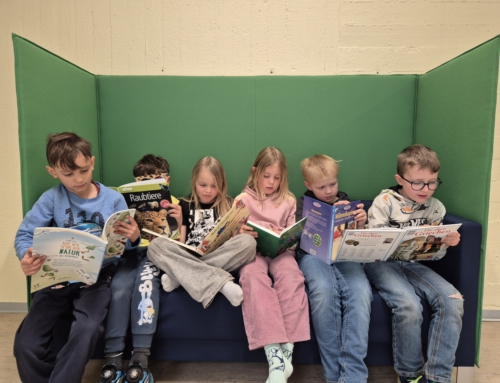 Neue Leseecken bereichern unser Schulhaus