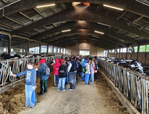 Unsere 5. Klassen erkunden den Milchbetrieb Rueben in Lasserg