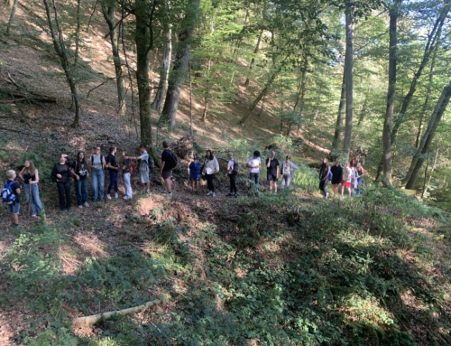 Wandertag mit Entdeckergeist