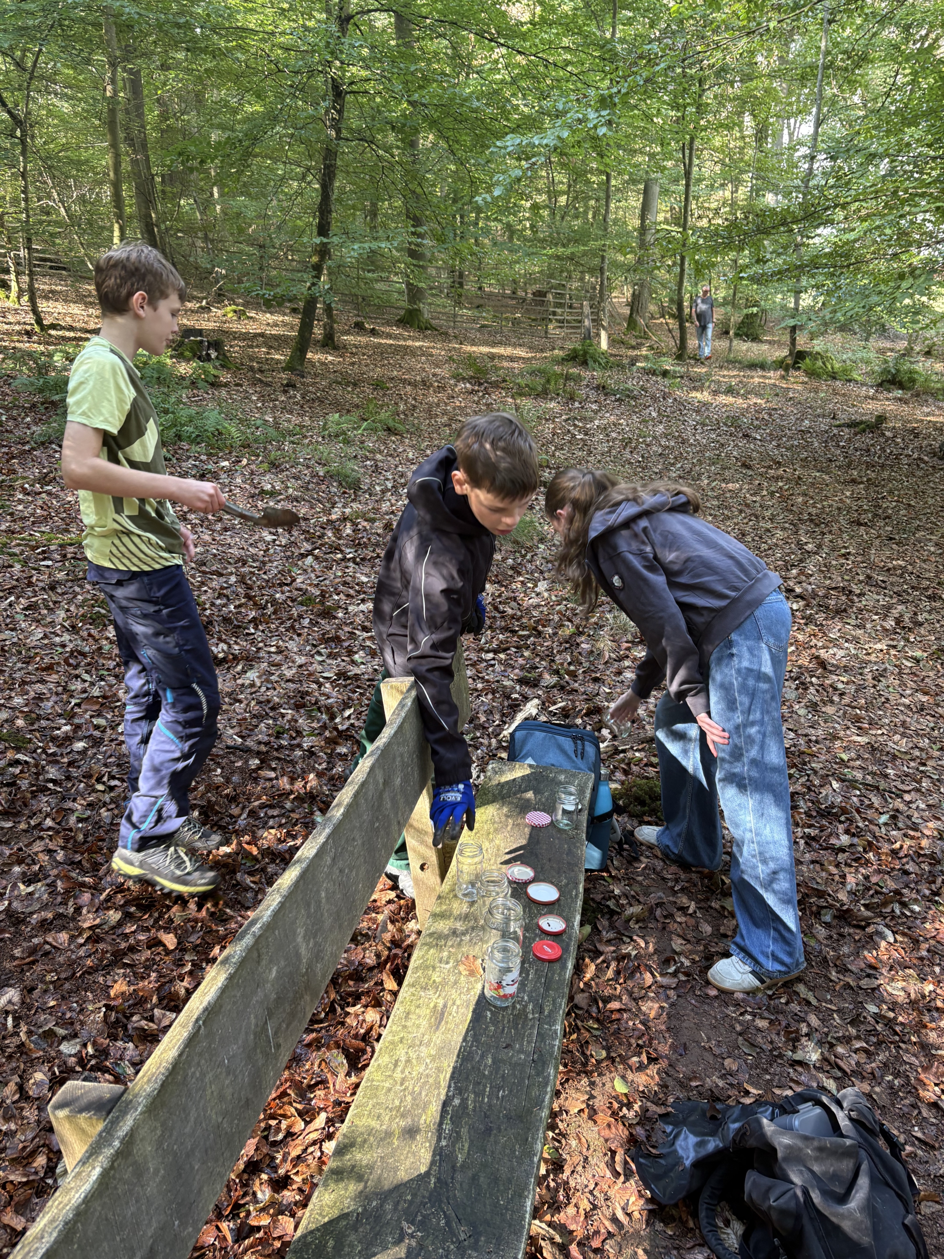 Waldtag Kl. 7