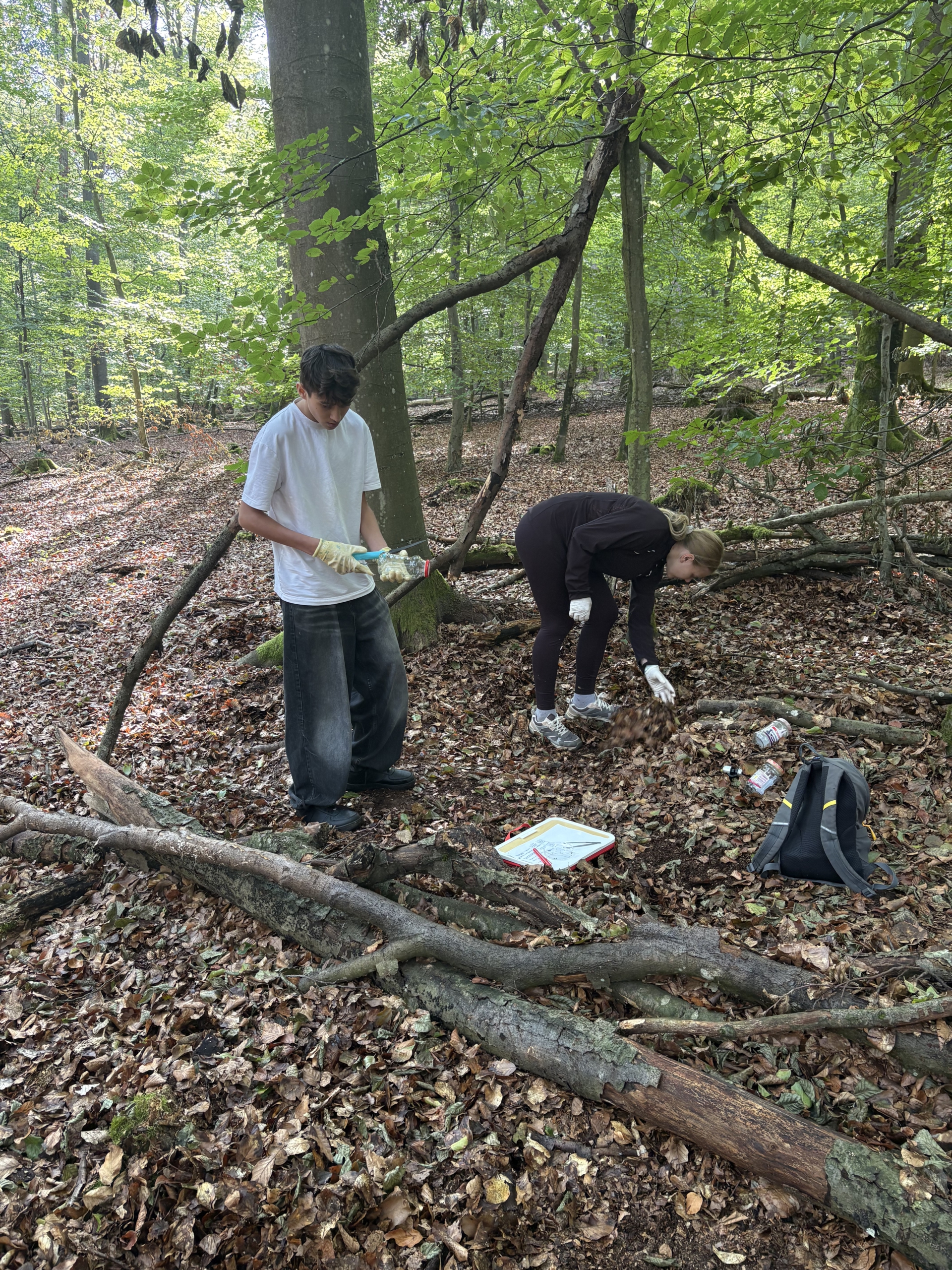 Waldtag Kl. 7
