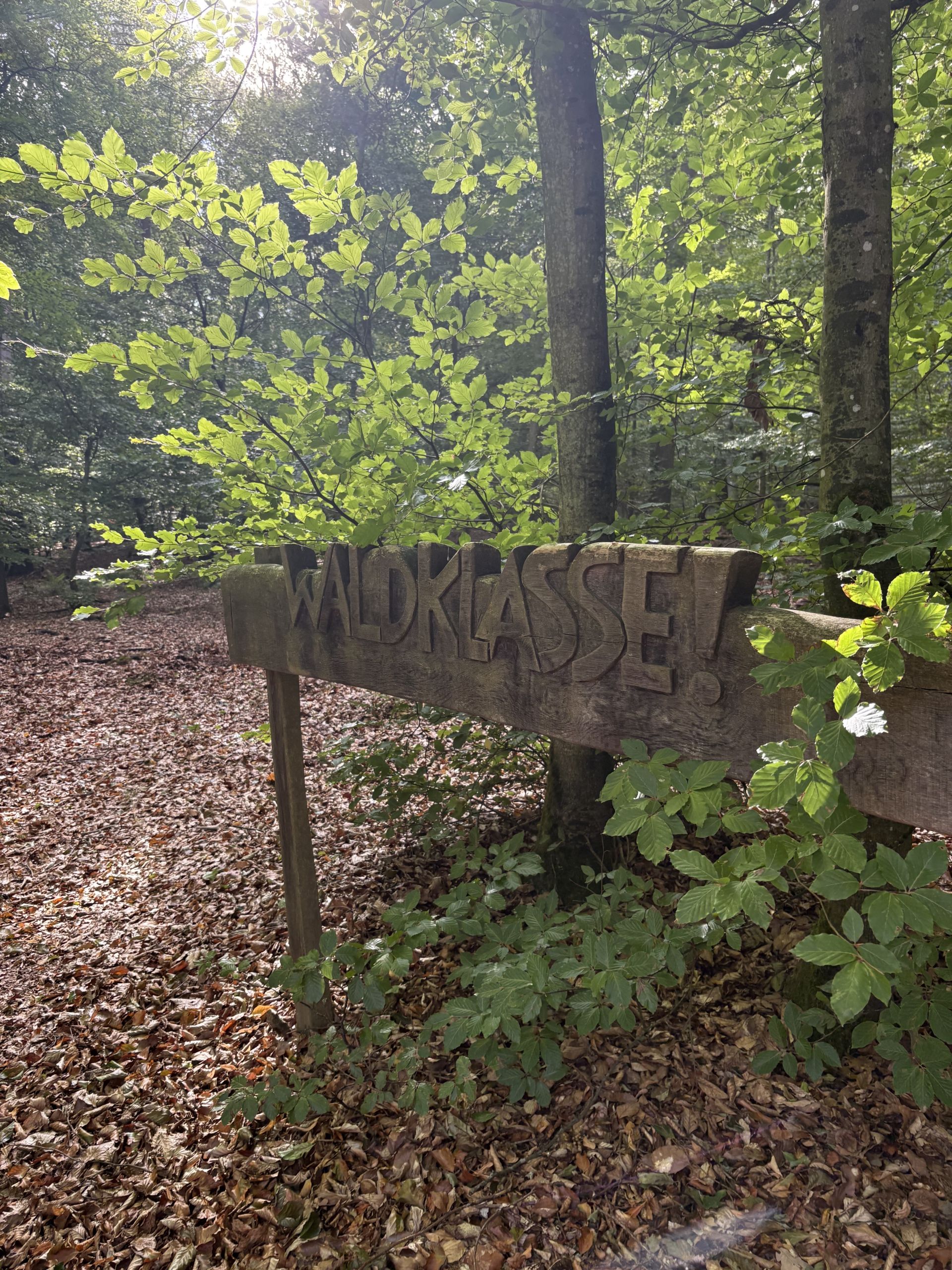 Waldtag Kl. 7