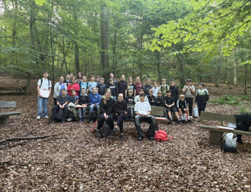 Auf Entdeckungstour im Schulwald – Klasse 7 erforscht wirbellose Tiere